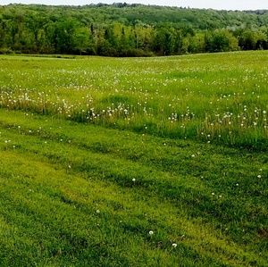 Meet your Posher, Vicky